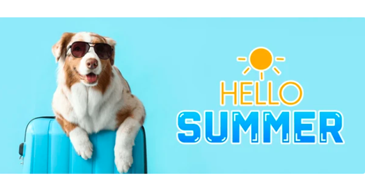 banner image
